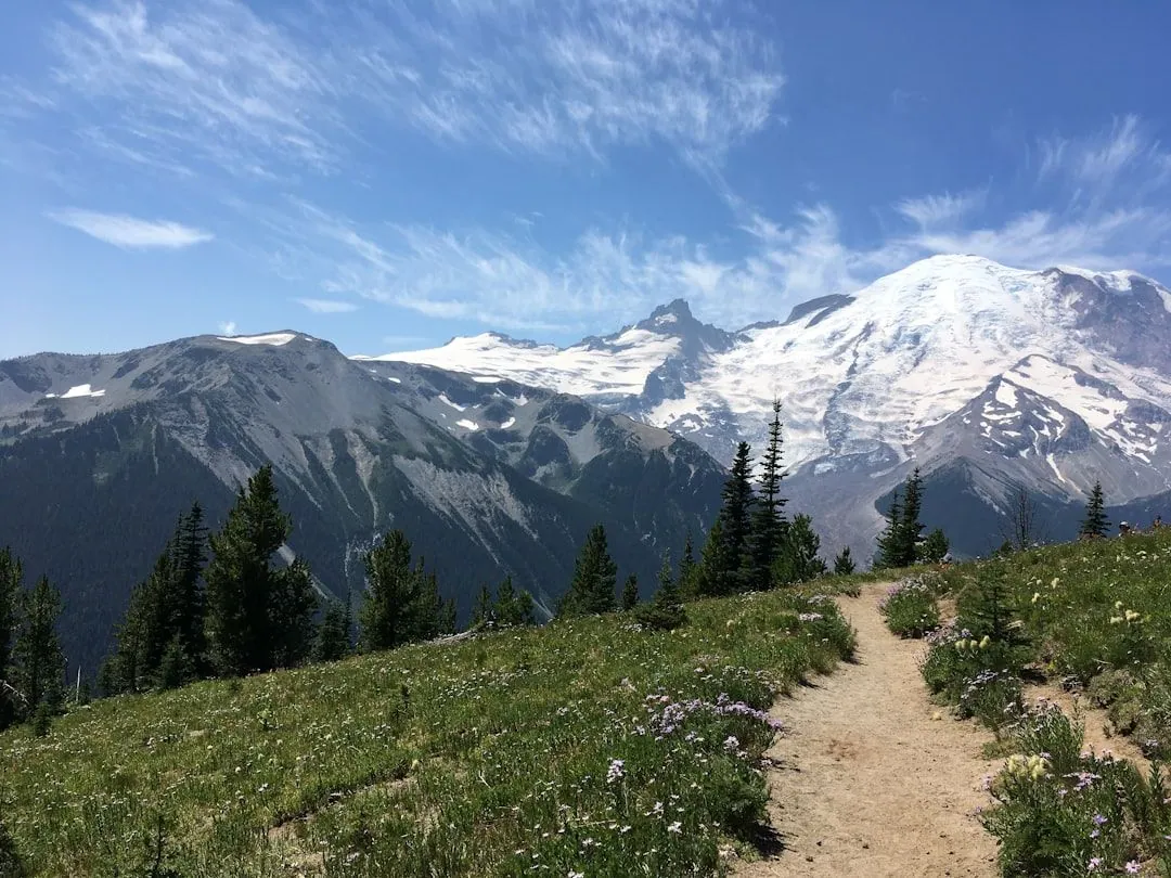 Die besten Wanderwege in Ihrer Region