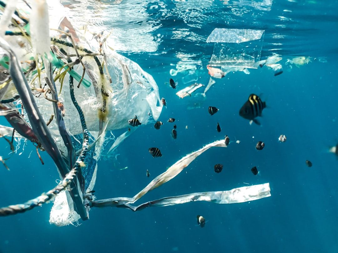 Photo Environmental impact
