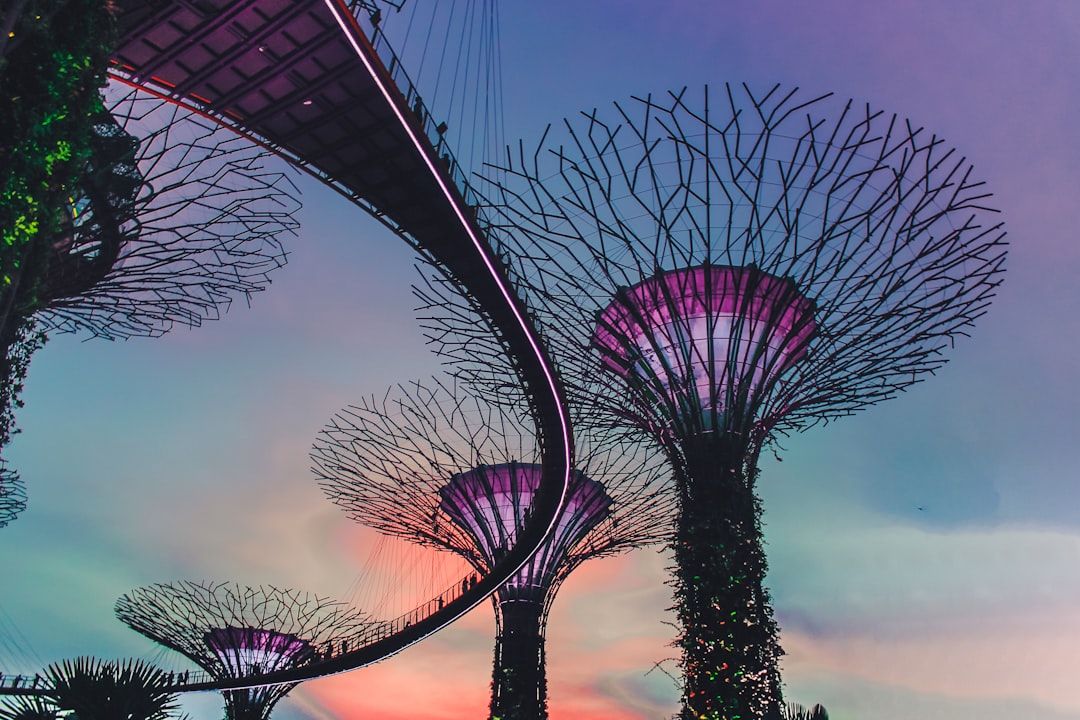 Photo Vertical garden