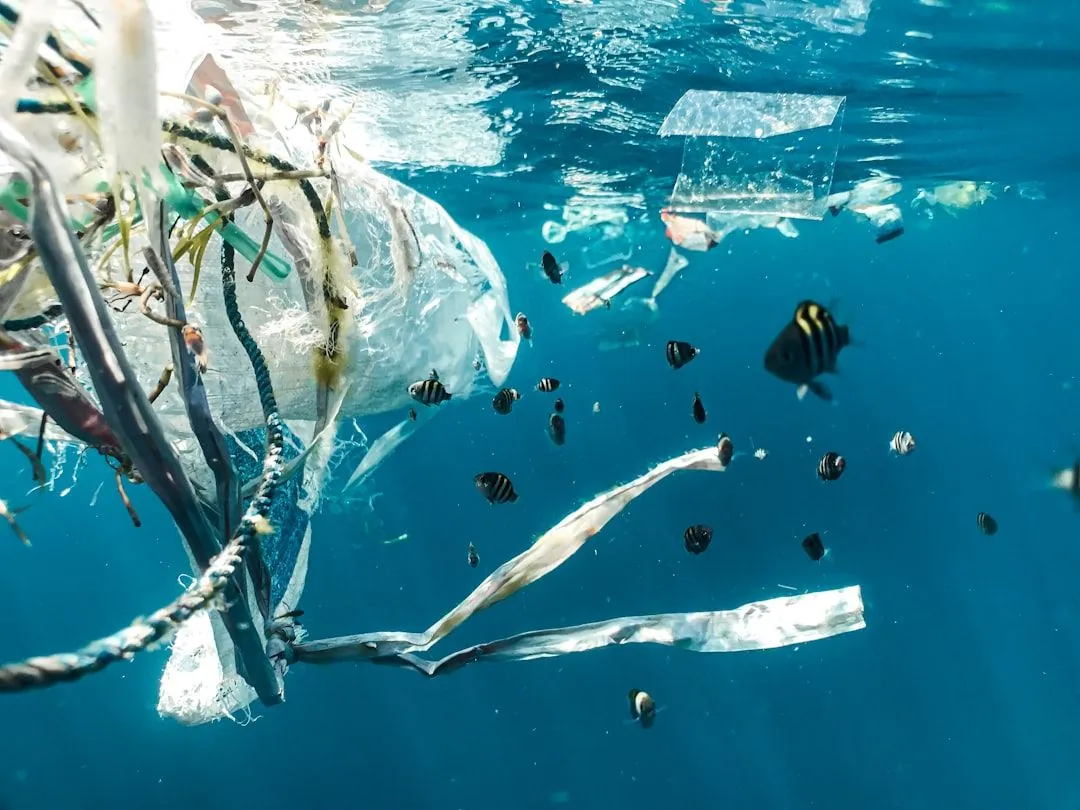 Der Einfluss von Fast Fashion auf die Umwelt und Gesellschaft