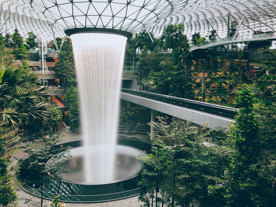 Photo Indoor garden