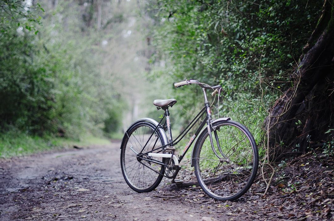 Photo Cycling in nature