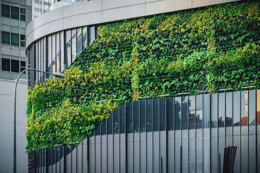 Photo Green building