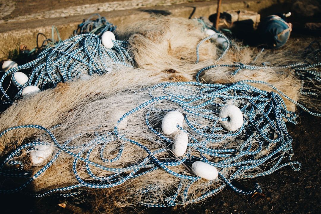 Photo Fishing boat