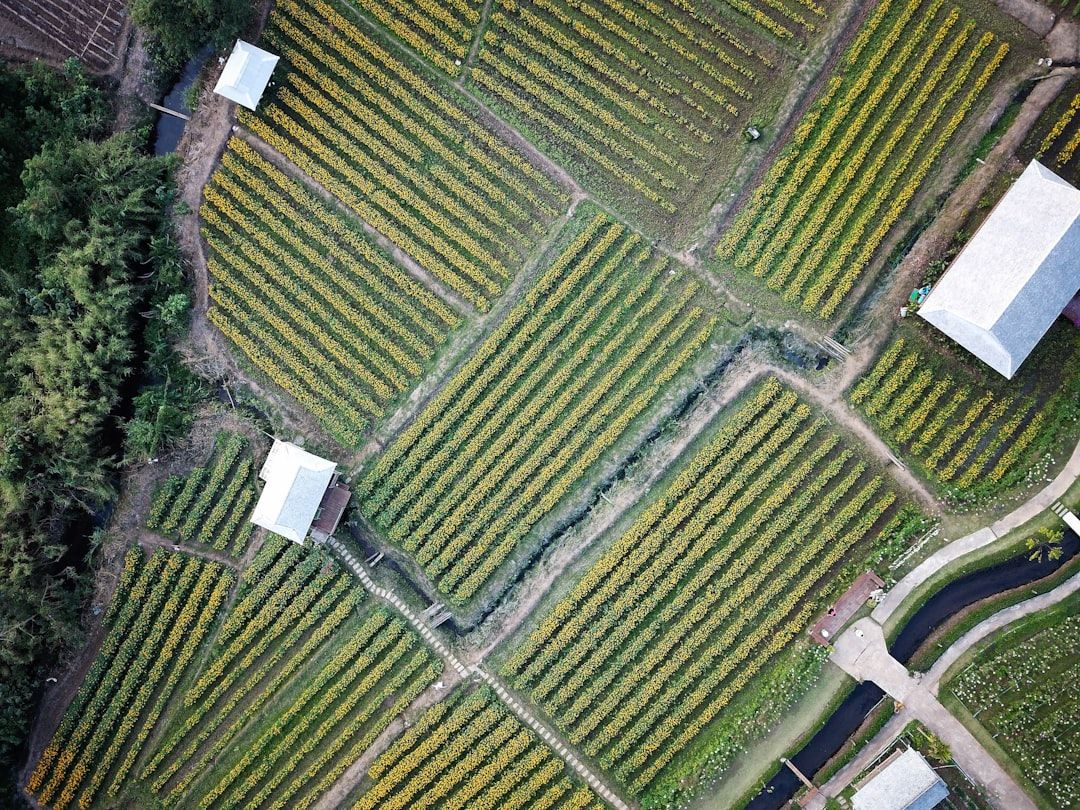 Photo Organic farm