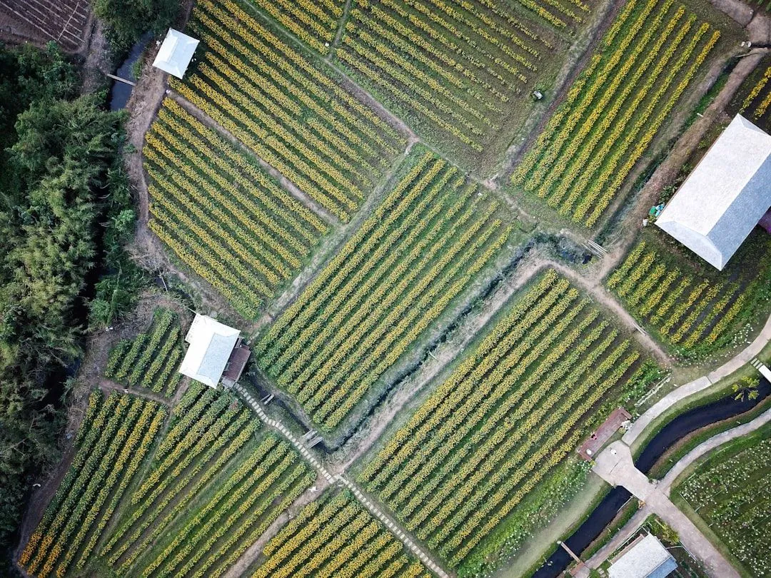 Nachhaltige Landwirtschaft verstehen: Ein umfassender Überblick