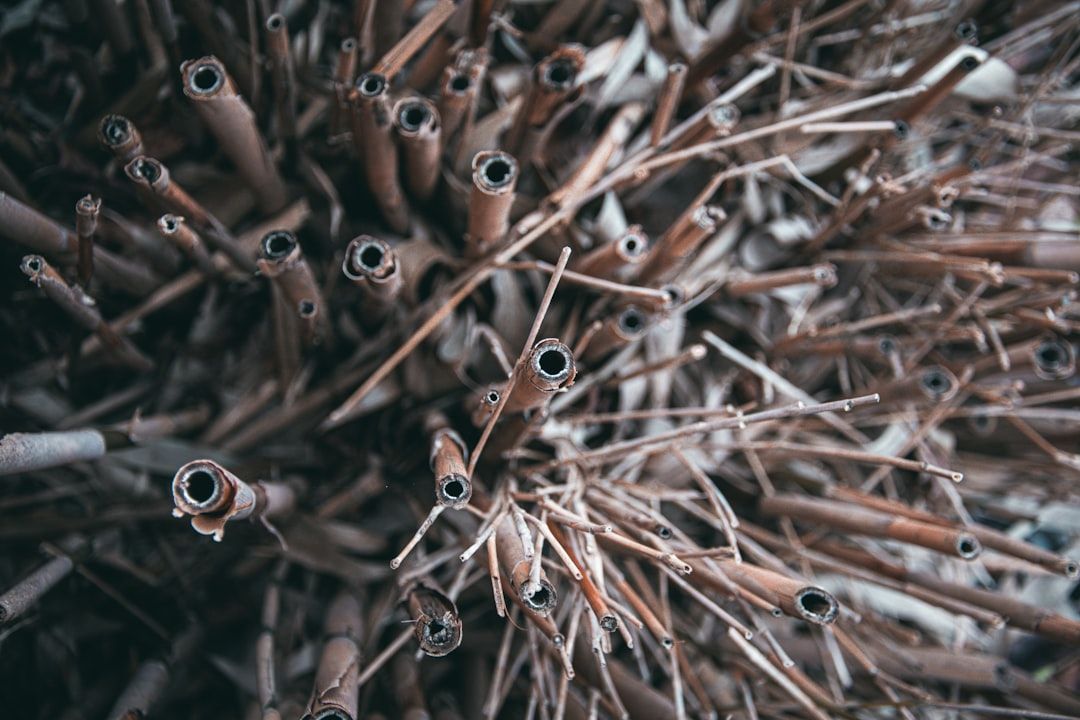 Photo Healthy soil