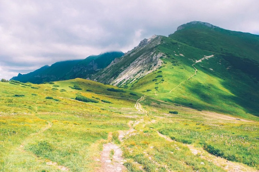 Die Schönheit des Wanderns: Natur erleben und entspannen
