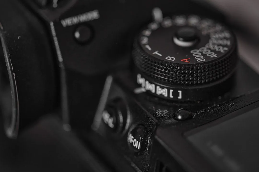 Tipps zur Digitalfotografie: Perfekte Bilder leicht gemacht